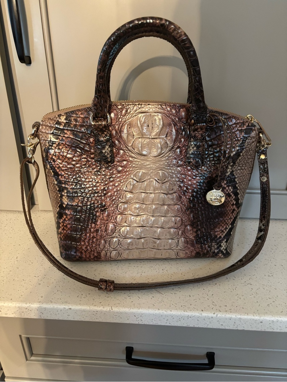 BEAUTIFUL Brahmin Large Duxbury Satchel in Ganache Melbourne
